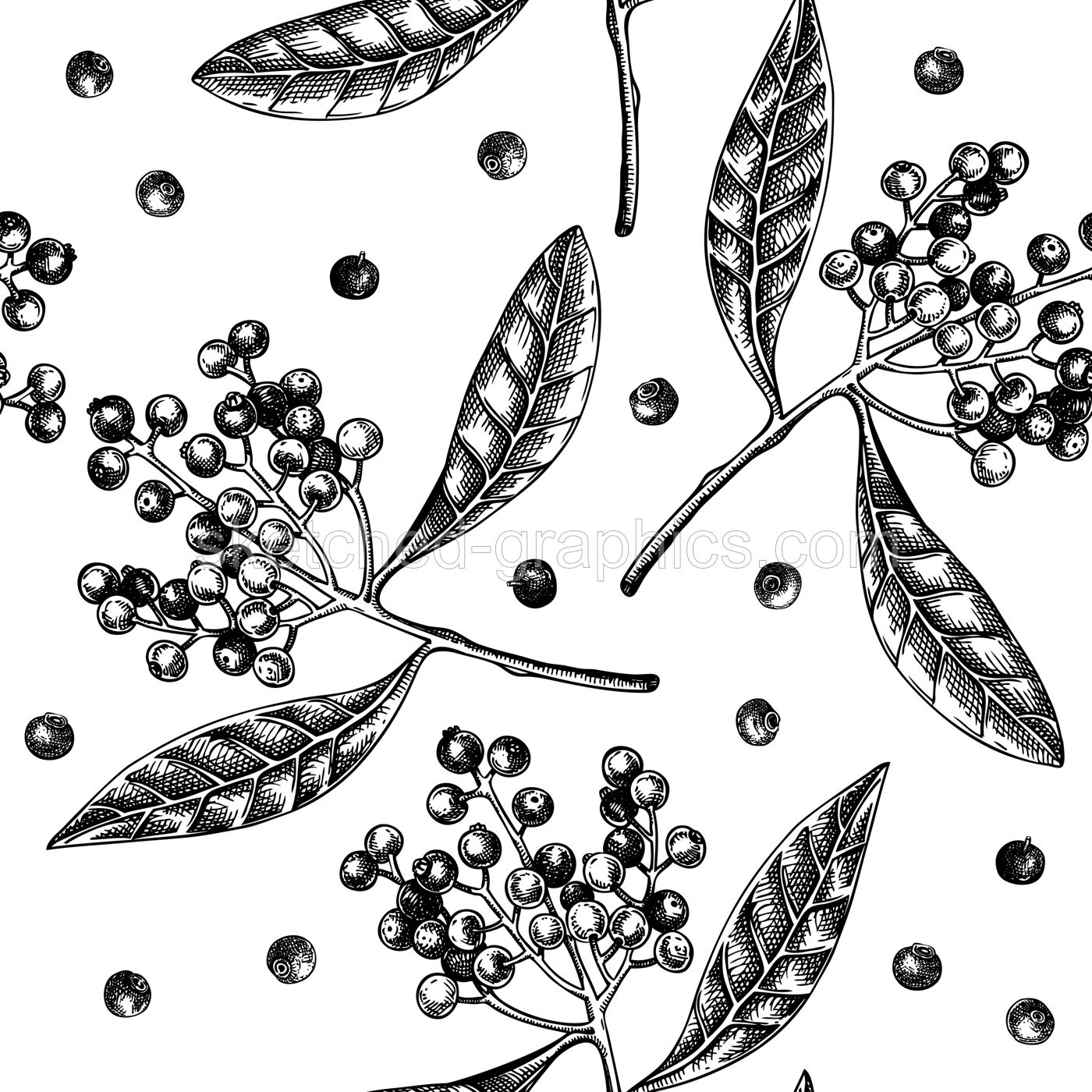 Allspice seamless pattern Kitchen spice sketches. Mexican herb and spice background. Hand-drawn vector illustration. NOT AI generated Illustration